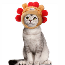Hedgehog Pattern Windproof Pet Head Cover