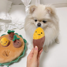 Peanut & Sweet Potato Plush Pull Toy Set