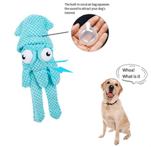 Plush Squeaky Chew Toy for Dogs