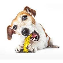 Dumbbell-Shaped Squeaky Rubber Chew Toy