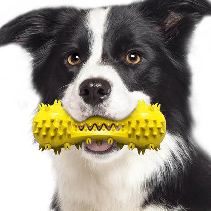 Dumbbell-Shaped Squeaky Rubber Chew Toy