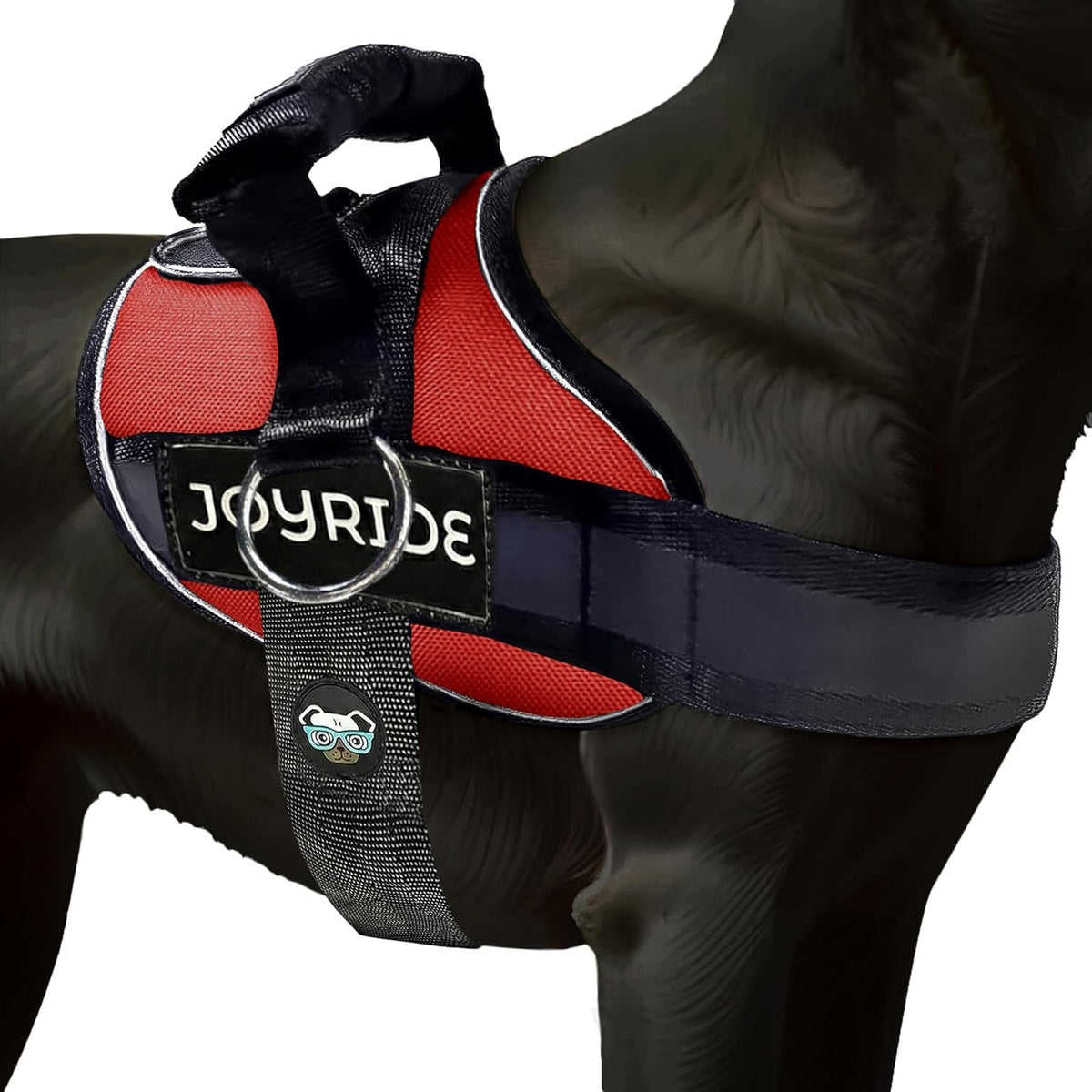 Joyride Harness 2.0 red no-pull side-ring harness product shot with pug on leash