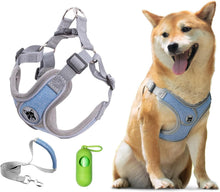 Patas Lague step-in dog harness blue with leash and poop bag dispenser on Shiba Inu